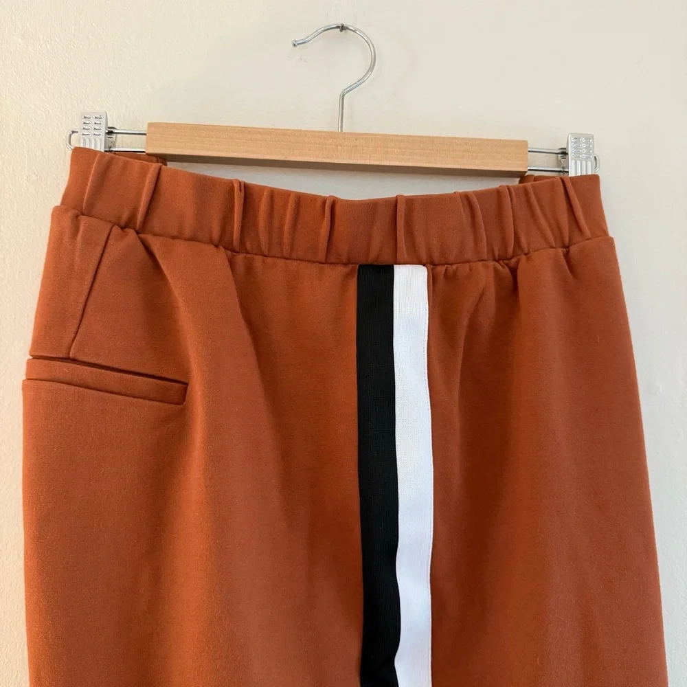 Universal Standard, lovely pants with side stripe.  Size M - Picture 2 of 5